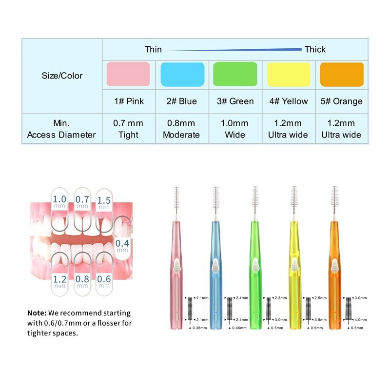 Custom Compact Single-Head Orthodontic Push-Pull Interdental Brushes for Multi on-The-Go Use