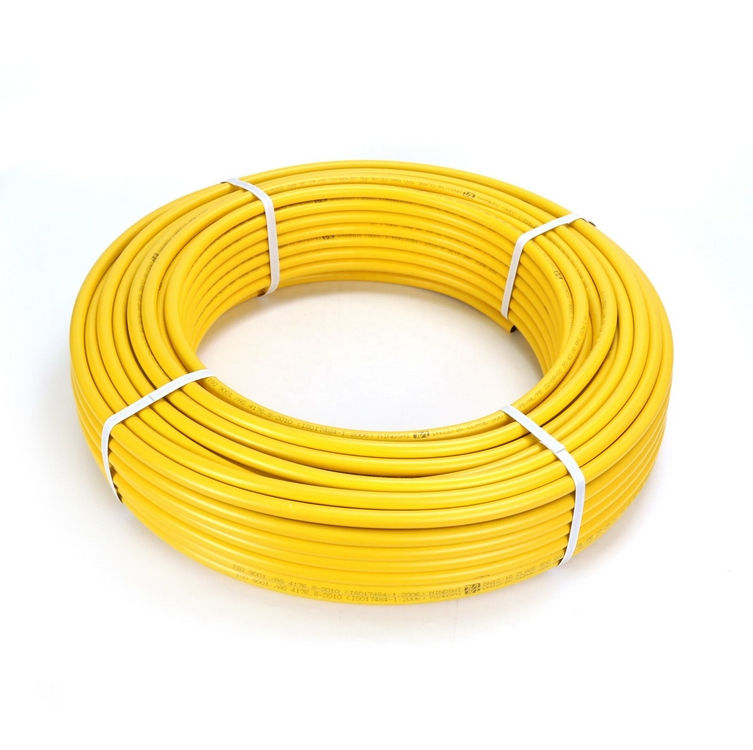 Customize Explosion Proof Gas Hose Low & Medium Pressure Natural Gas/LPG Pipe with 304 Steel Wire Reinforcement Gas Hose Pipe