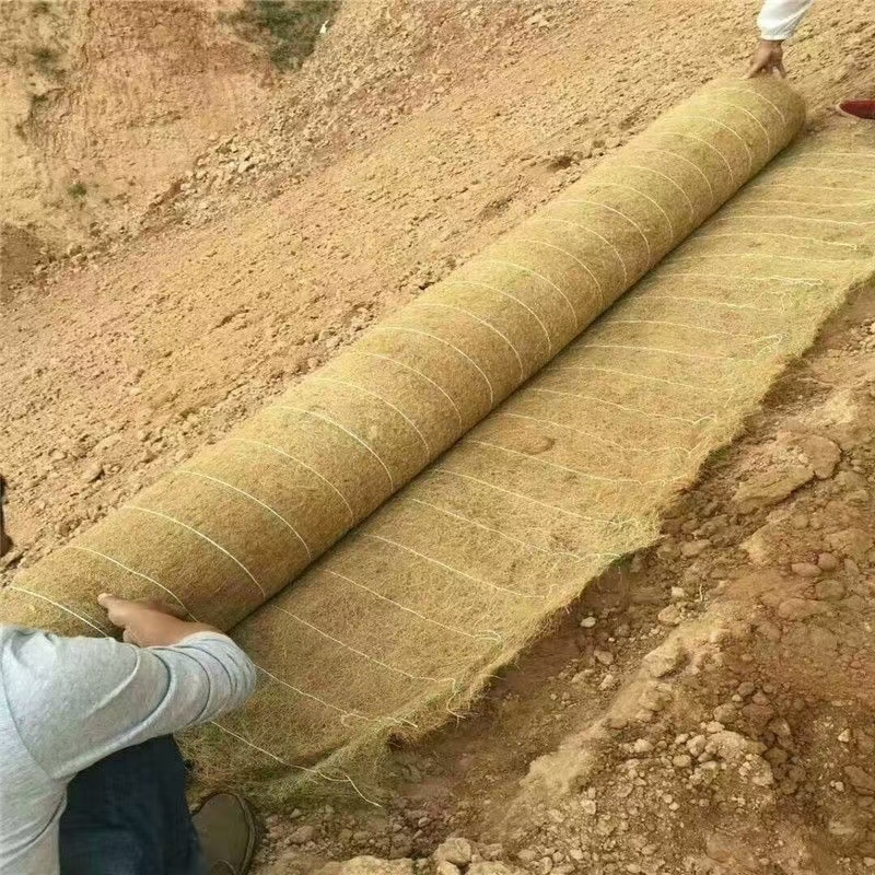 Coconut/Coco Coir Mat Erosion Control Blankets for Slope Protection/Soil Erosion/Greening Projects