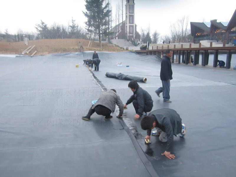 1mm 12 mm EPDM Waterproofing Membrane Geomembrane Dam Landfill Lake Biogas Mining Fish Shrimp Farm Pond Liner Swimming Pool Agricultural Agriculture