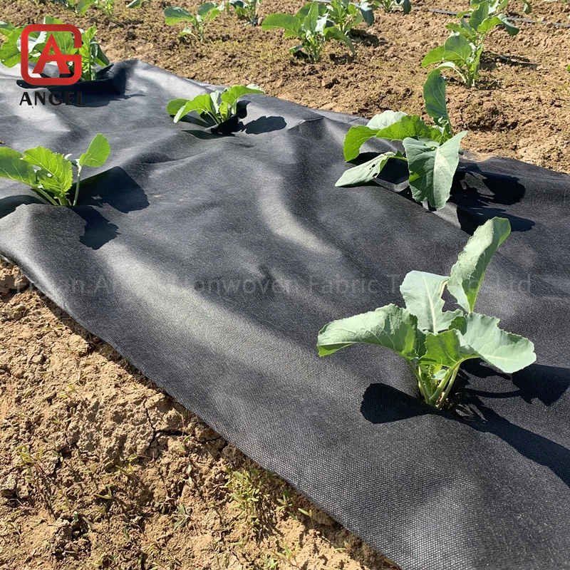 Heavy Duty Lined Weed Control Fabric Landscaping Ground Cover Garden Weed Barrier Gardening Mat