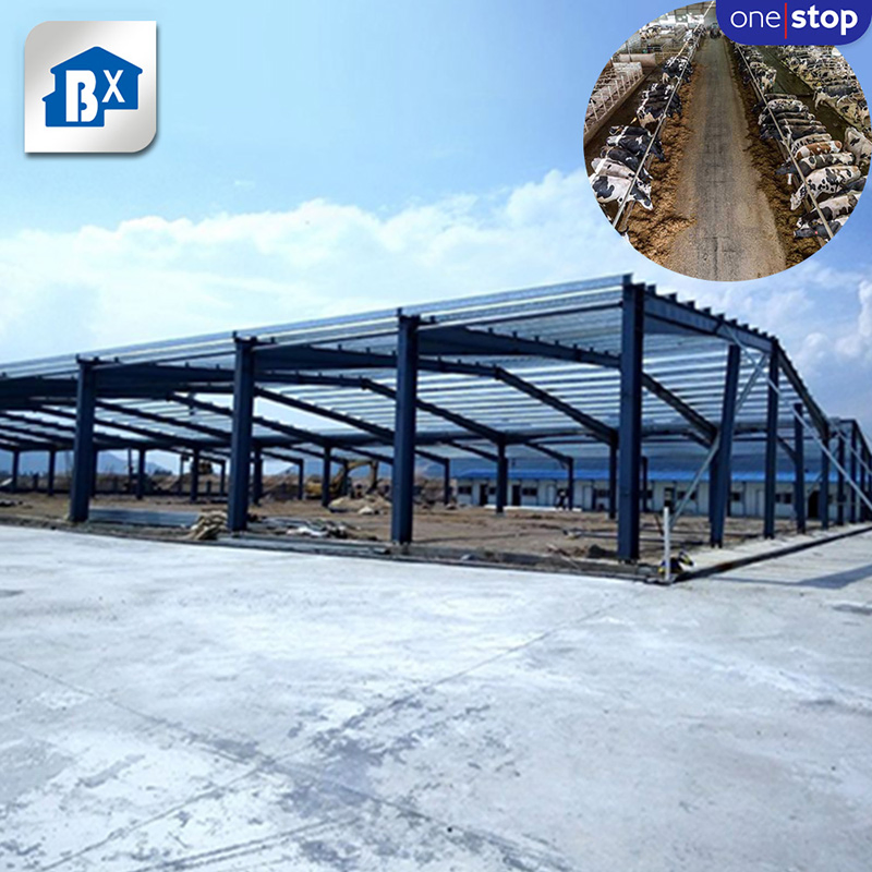 Strong Adaptability Prefab Steel Structure Poultry Chicken Container Luxury Modular Prefab House