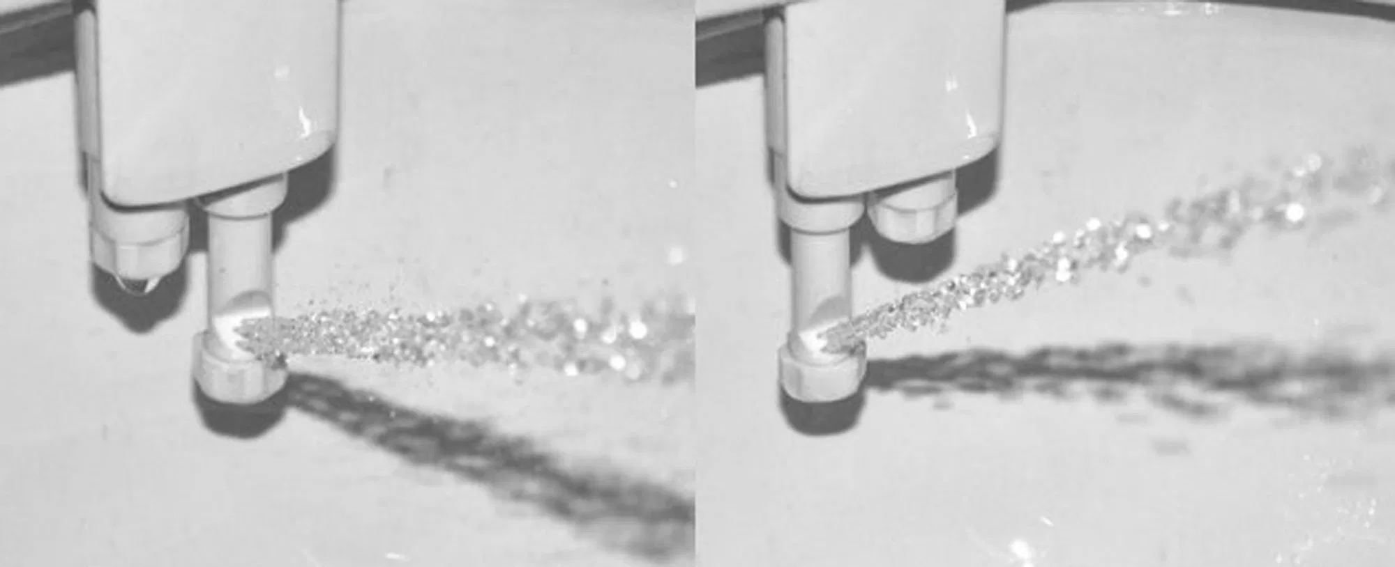 Amazon's Choice Low Price Spray Bidet