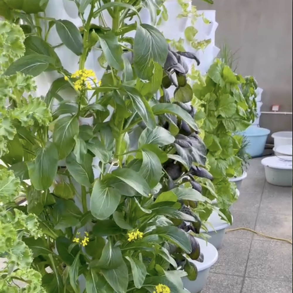 Башня гидропонная вертикальная 5-13 уровней