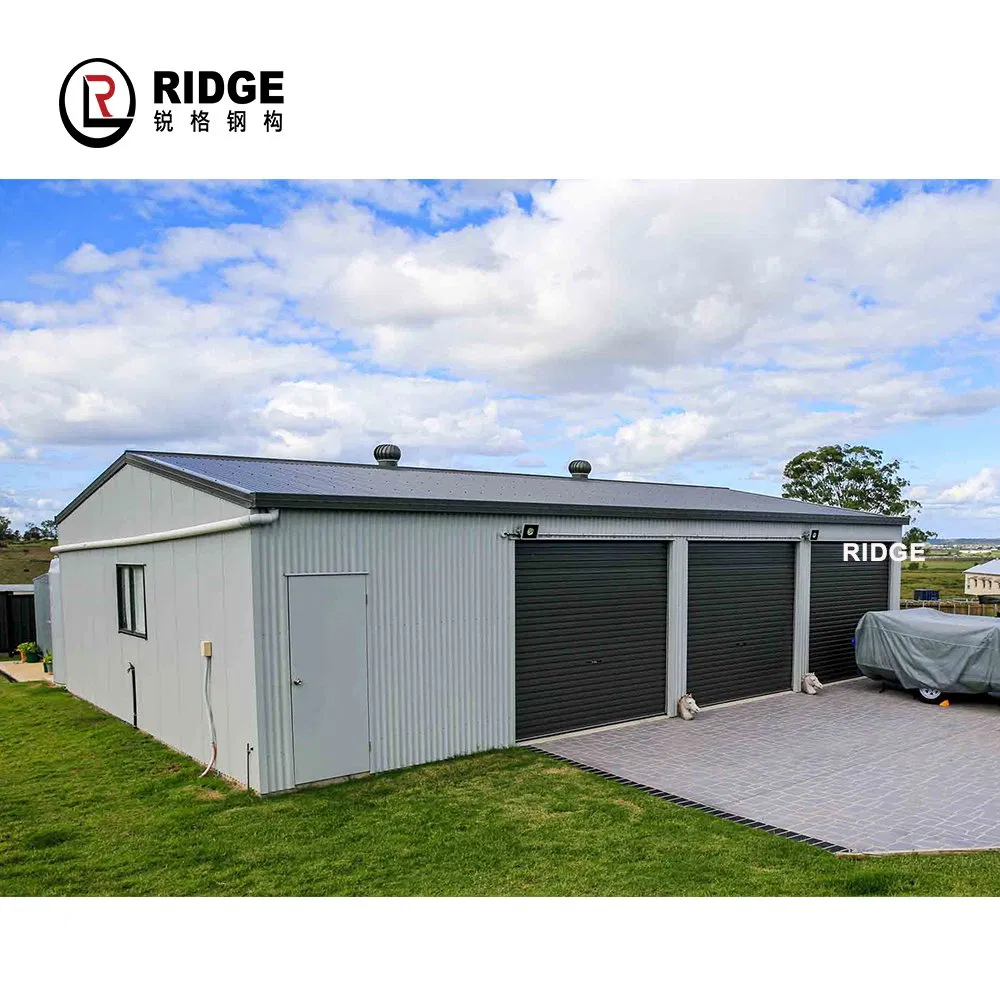 Customized Steel Structure Shed Gable Roof Garden Shed for