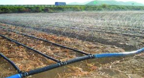 Premium 100m Rain Tape for Efficient Micro Irrigation Solutions