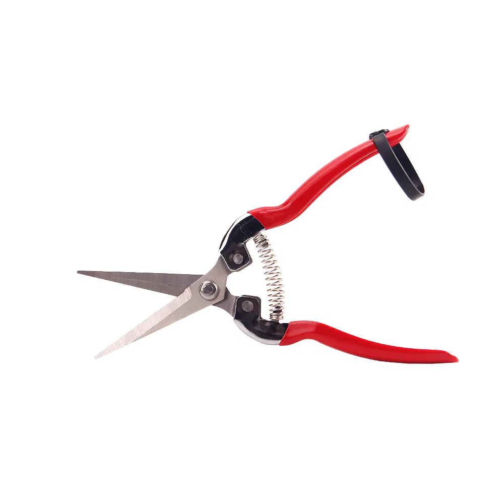 Wholesale Garden Scissors Supplier for Bulk Orders