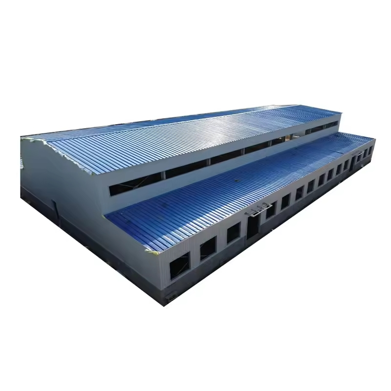 Low Cost Factory Workshop Steel Building Prefab Light Steel Structure