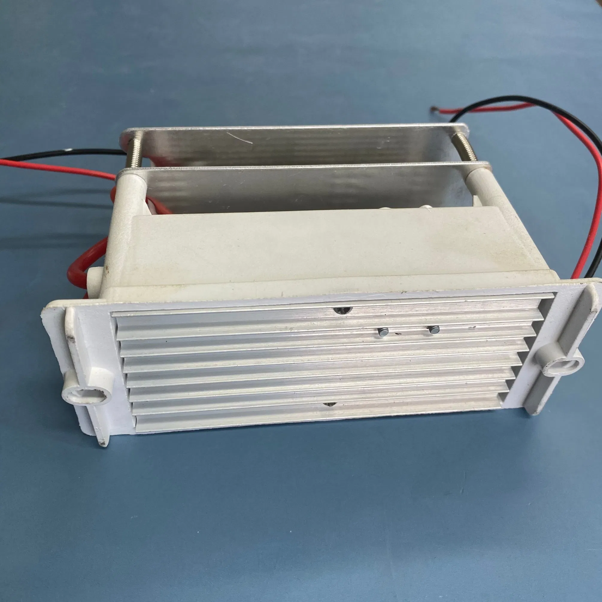 Portable Stainless Steel Mesh Ceramic Ozone Generator Module for Air Sterilizer