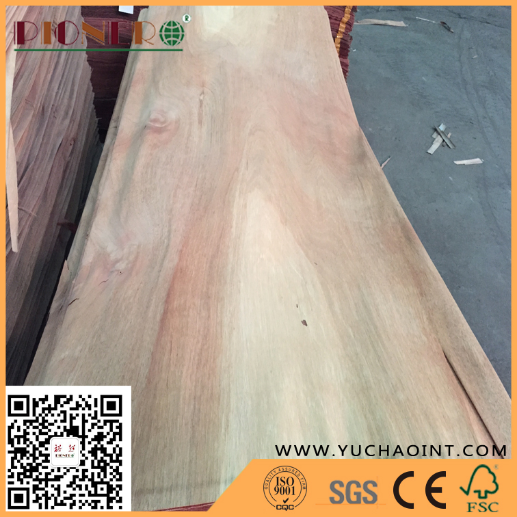 AA Grade Natural Gurjan/ Keruing Veneer as Plywood Face