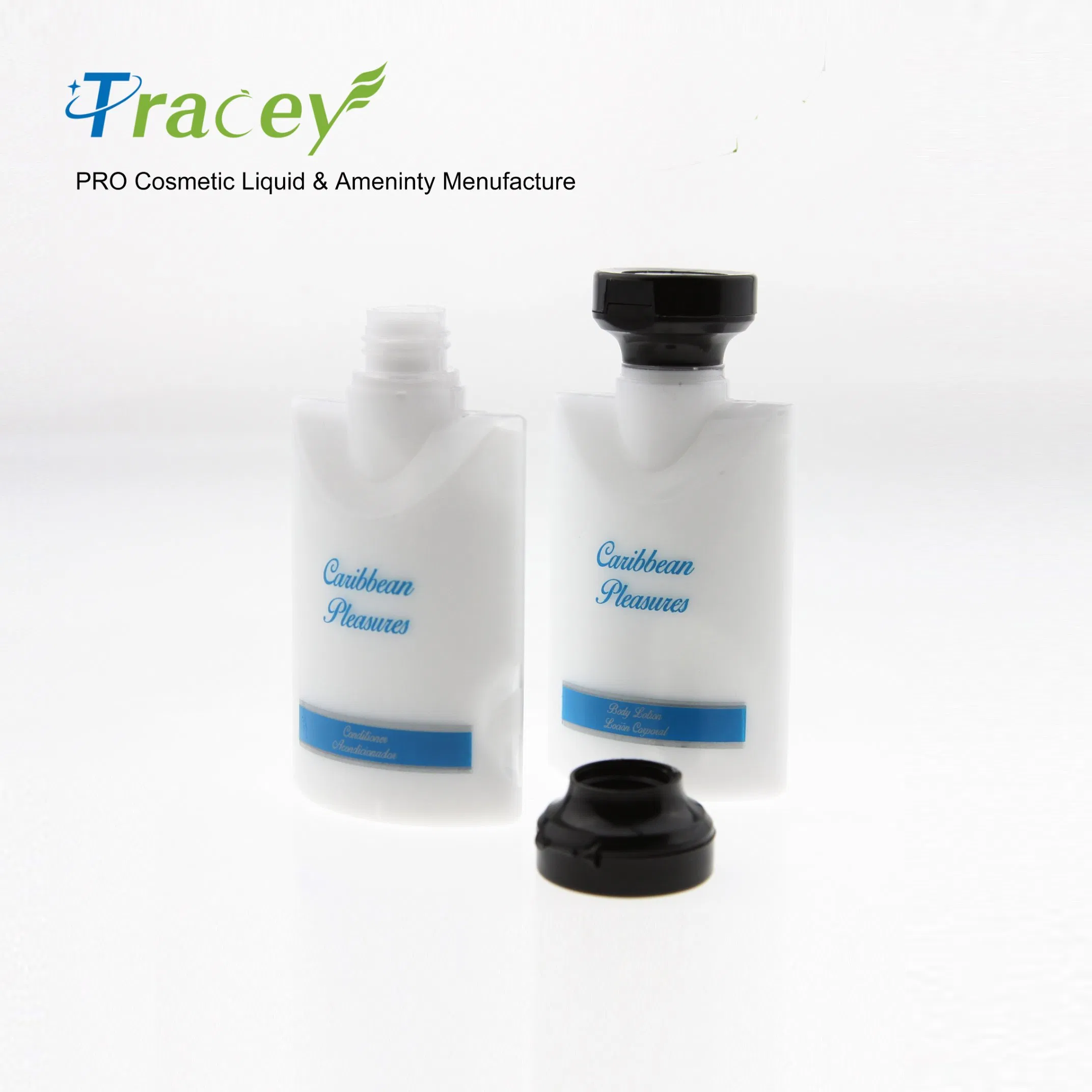 Portable Laundry and Care Kit for Hotel Travelers and Home Use
