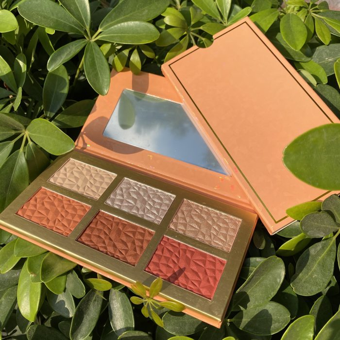 High Quality Custom Logo Makeup Face Pigment Blusher Powder Matte Face Makeup Highlight and Blush