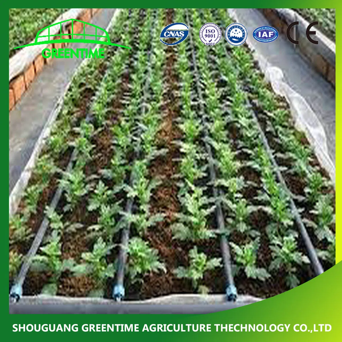 Irrigation System DN 16mm Drip Irrigation Tape with Inner Dripper for Agricultural Hydroponic Growing