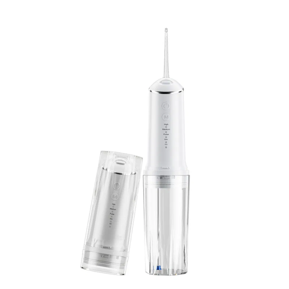 Large Capacity Power Rechargeable Replaceable Nozzles Custom Water Flosser
