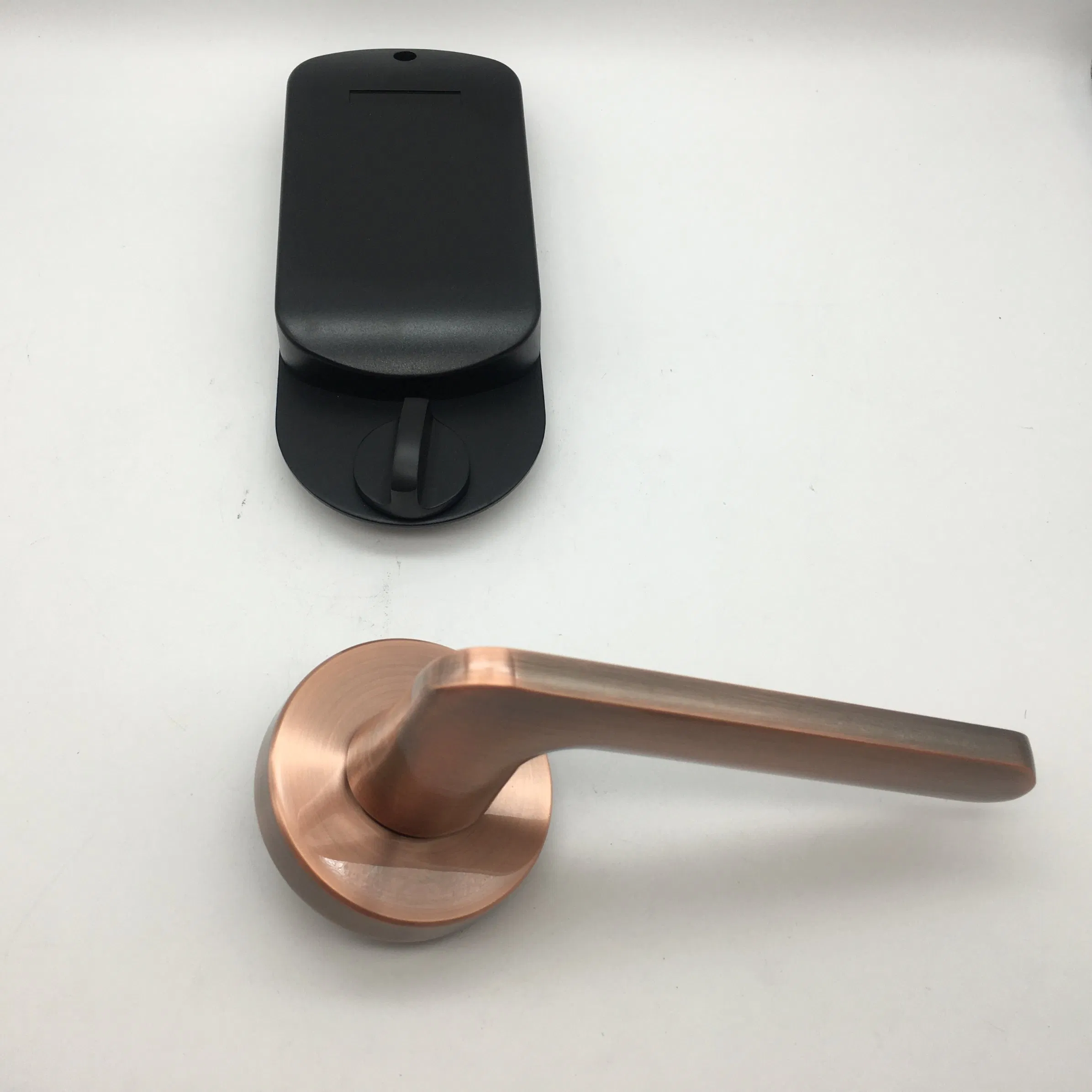 Wholesale Price WiFi APP Fingerprint Keyless Tuya Smart Door Locks for Project Hotel System