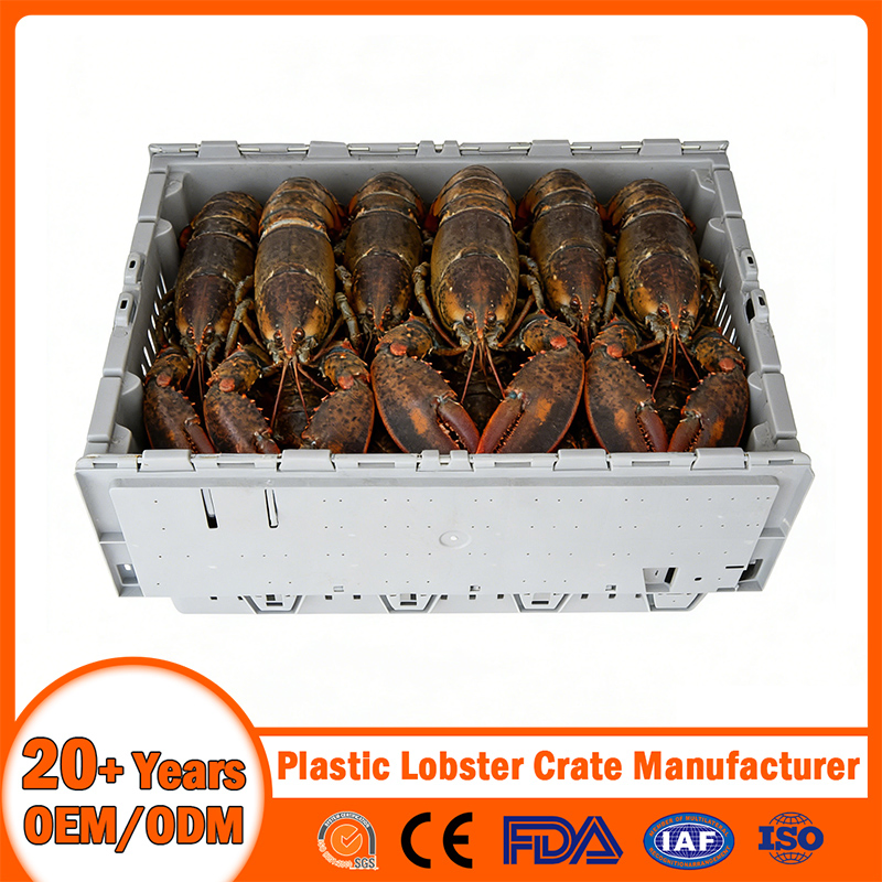 Stackable Nestable Ventilation/Drainage/Solid/Vented/Perforated Handheld Plastic Lobster Crate with Drainage Hole/Bale Arm/Hand/Divided for Seafood Transport