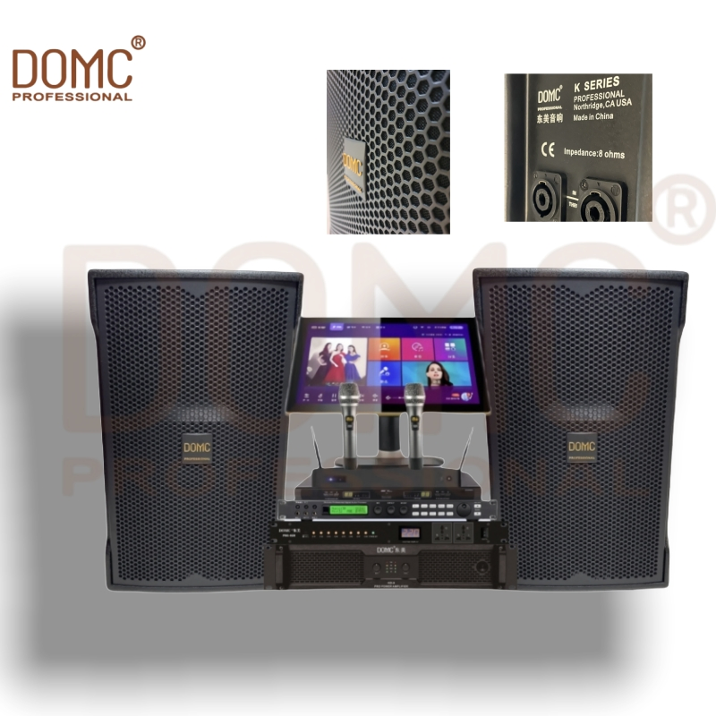 Powerful 10-Inch Speaker for Stage and DJ Performances