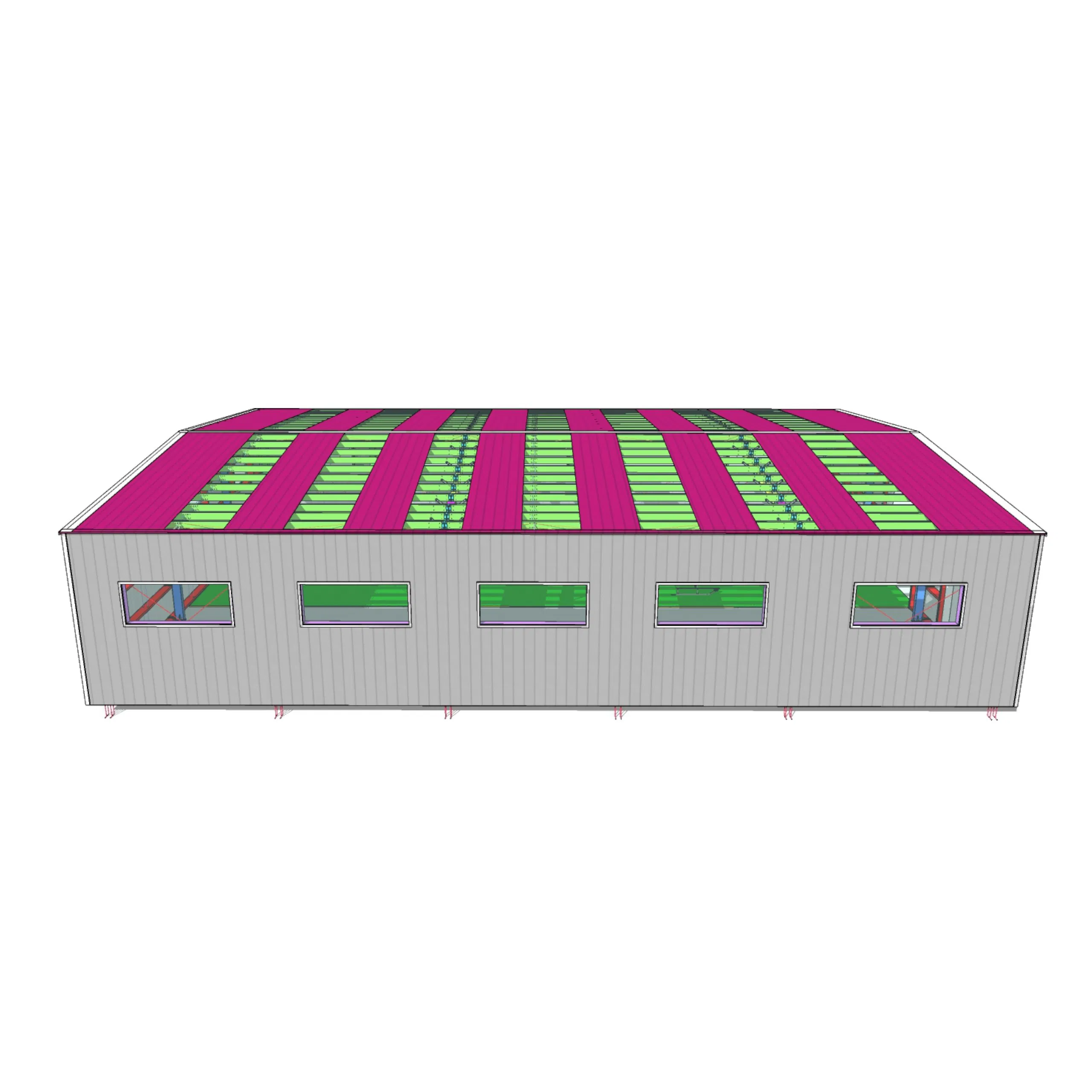 New Design Prefabricated Metal Steel Structure Warehouse Pre-Engineered Light Steel Structure Daylight Aircraft Hangar