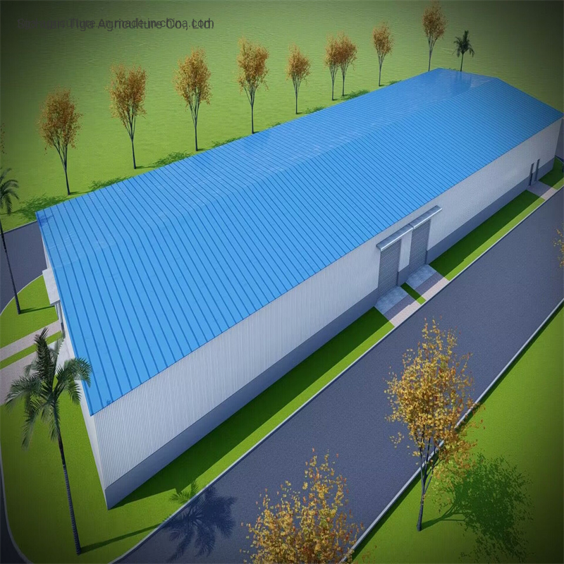 EPC High Strength and Seismic Resistance Fast Installation Prefabricated Factory