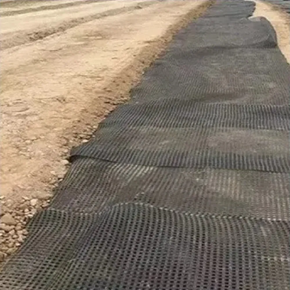 80-80kN Pet Black Polyester Biaxial Geogrid for Road Construction