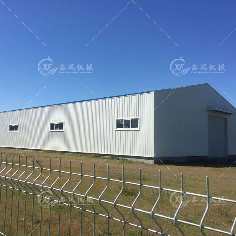 Prefabricated Hot Galvanized Steel Structure Building Poultry Farm Chicken House