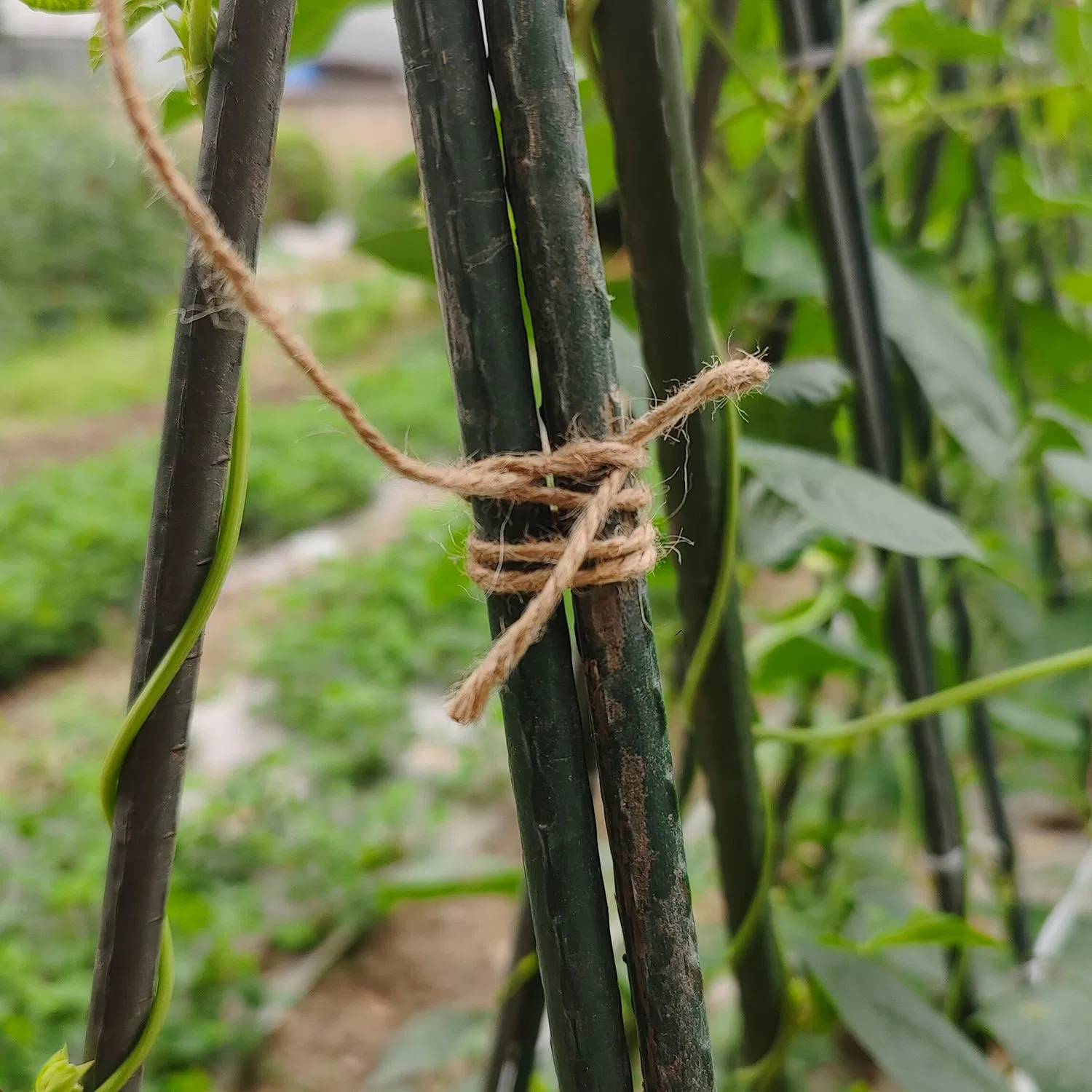 30m Natural Jute Twine Strong Garden Rope for Gardening, Bundling, Home Decorating