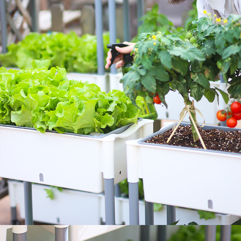 Горшки пластиковые с автополивом для цветов и овощей