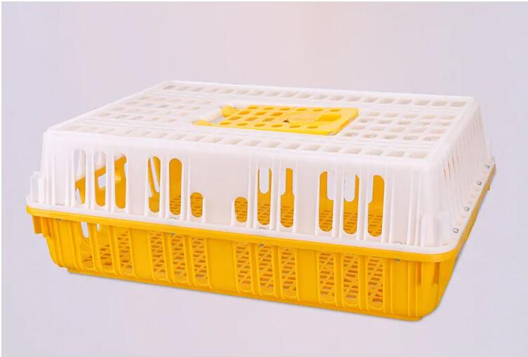 Plastic Chicken Transport Box Live Chicken Transfer Box (002)