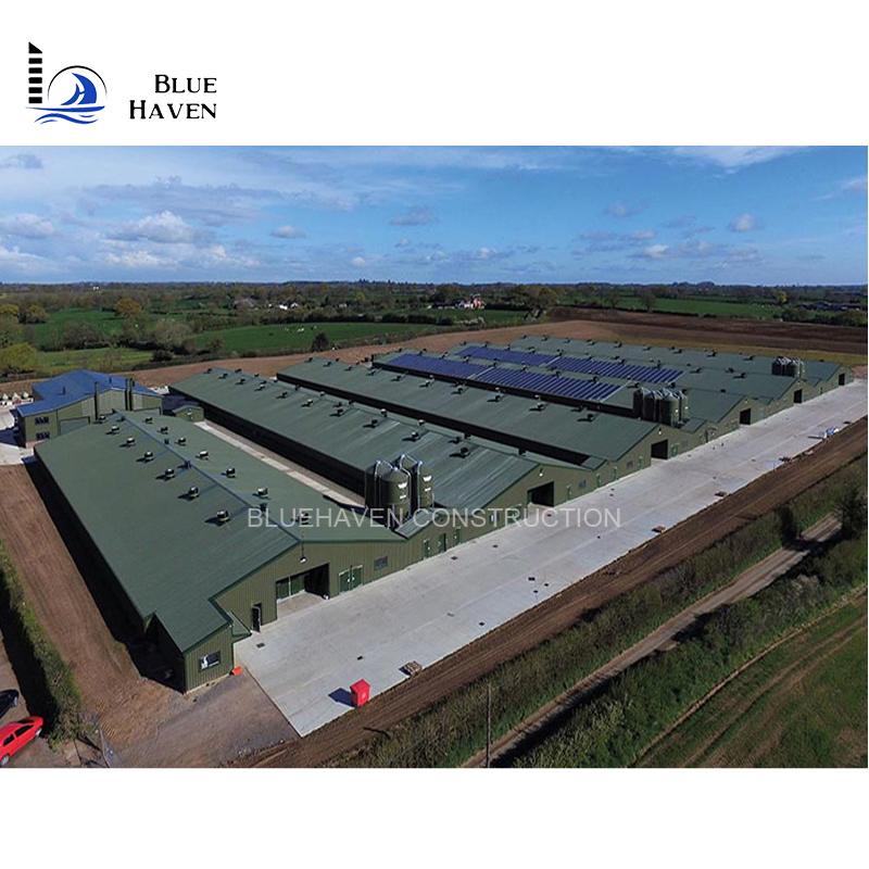 China Chicken Shelter Shed/Workshop/Warehouse Clear-Span Building