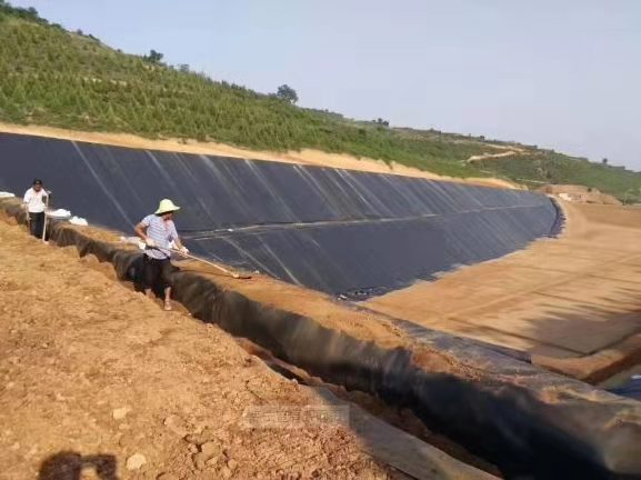 0.4mm 0.5mm 0.75mm 1mm 1.5mm 2mm Pond Liner Geomembrane 2-8m Width Waterproof HDPE Sheet Geomembrane