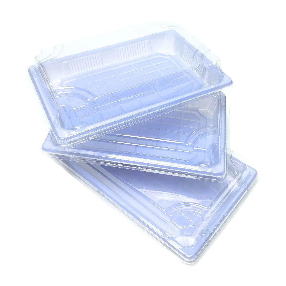14 Oz Disposable Plastic Food Packaging Sakura Style to Go Sushi Box