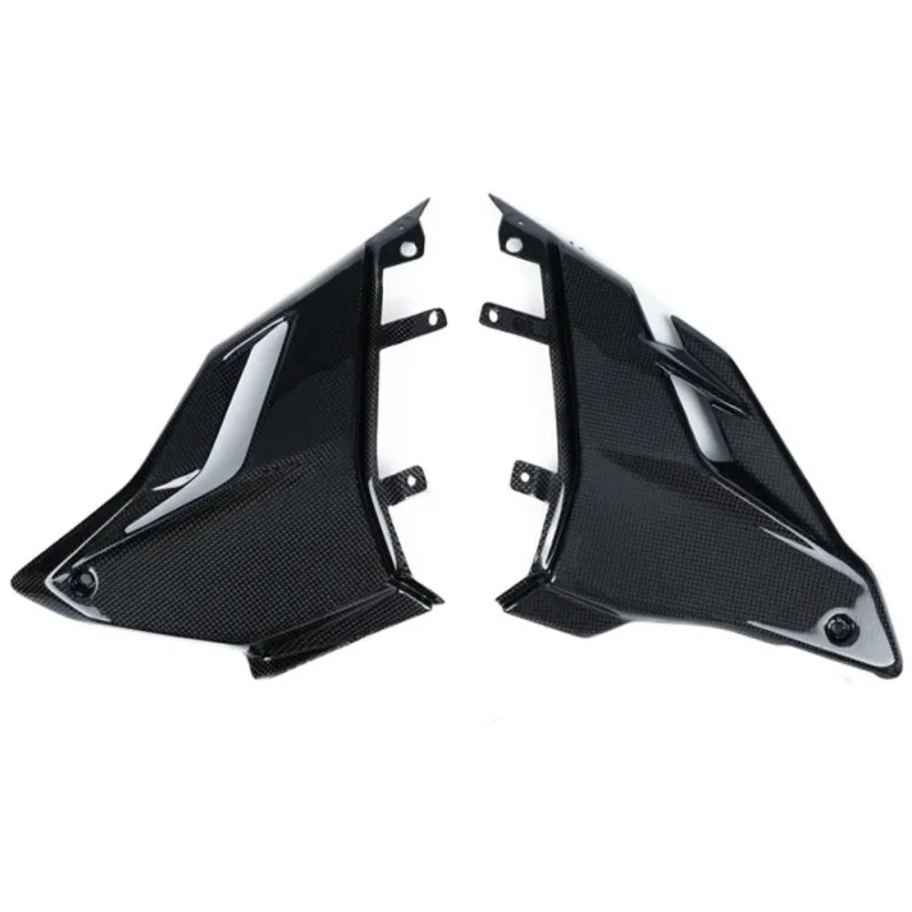 Карбоновый поддон для Ducati Streetfighter V4 (2020+)