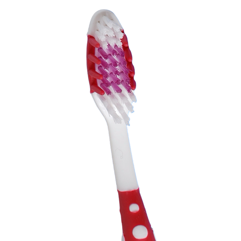OEM Adult Tooth Brush with Custom Logo Soft Bristles & Plastic Manual Tooth Brush
