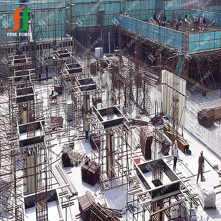 Quick and Convenient Concrete Mould Construction Plastic Formwork Shuttering