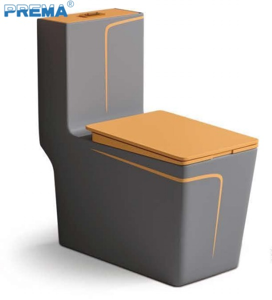 Modern Eco-Friendly Toilet with Dual Flush Technology for Home Use