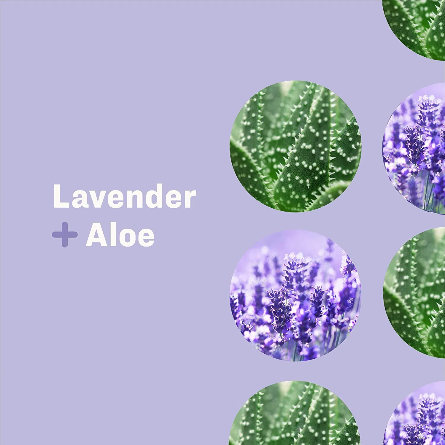 Beauty Cosmetics Skin Care 3-in-1 Soap Lavender Baby Shampoo and Body Wash