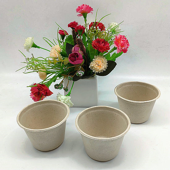 Compostable Bagasse Paper Pulp Cup 140ml for Ice Cream Dessert