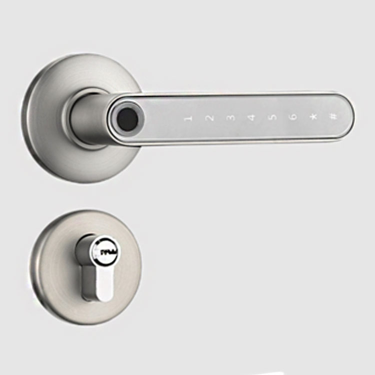 Waterproof Fingerprint Lock Outdoor Gate Lock with Tuya WiFi APP