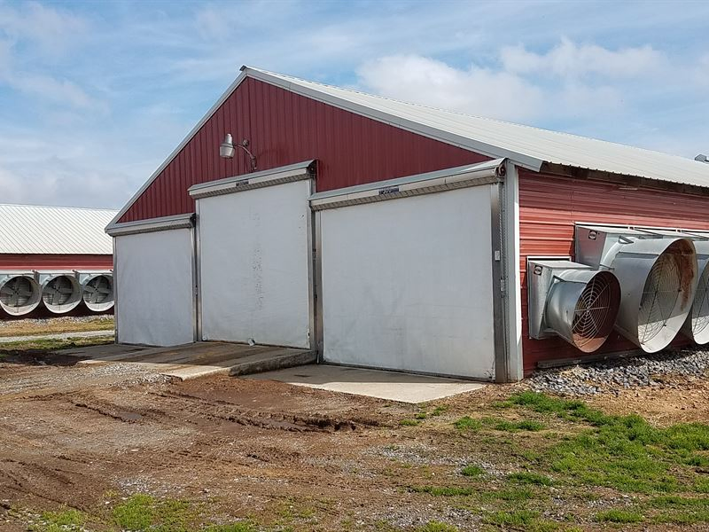 Prefabricated Industrial Construction Building Hot Deep Galvanized Steel Structure Metal Corrosion Resisting Poultry House