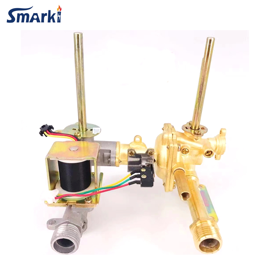 All Kinds of Gas Water Heater Zero or Normal Pressure Valve Parts
