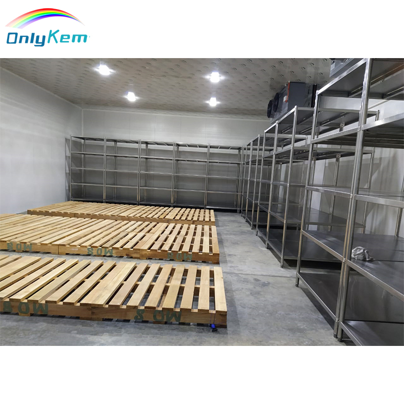 Sandwich Panel Cold Storage Cool Chamber Room with Condensing Refrigeration Unit
