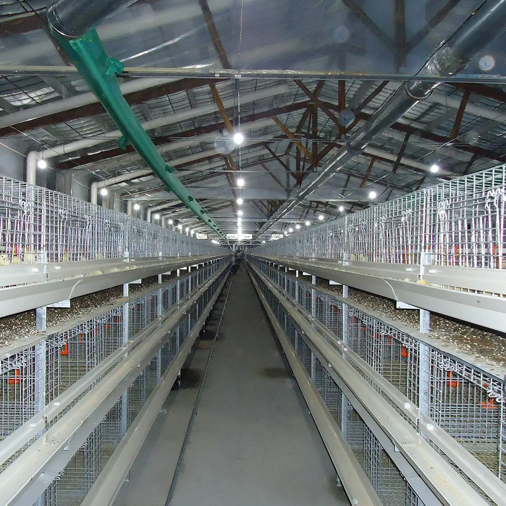 Prefabricated H Beam Prefab House Steel Small Poultry House From China