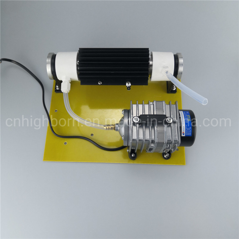 Power Supply Adjustable 110V 220V 10g/H Quartz Tube Ozone Water Purifier O3 Generator Module
