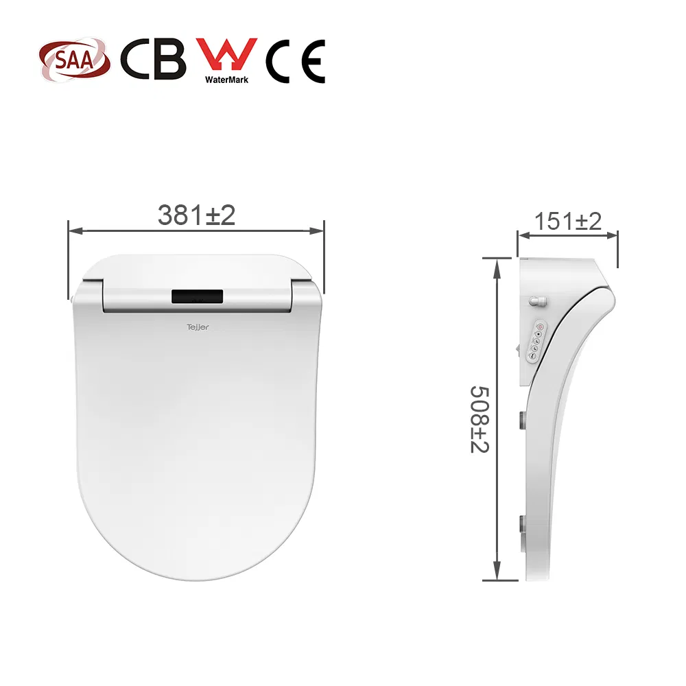 Automatic Open Toilet Seat Bidet Sprayer Electric with Remote Control