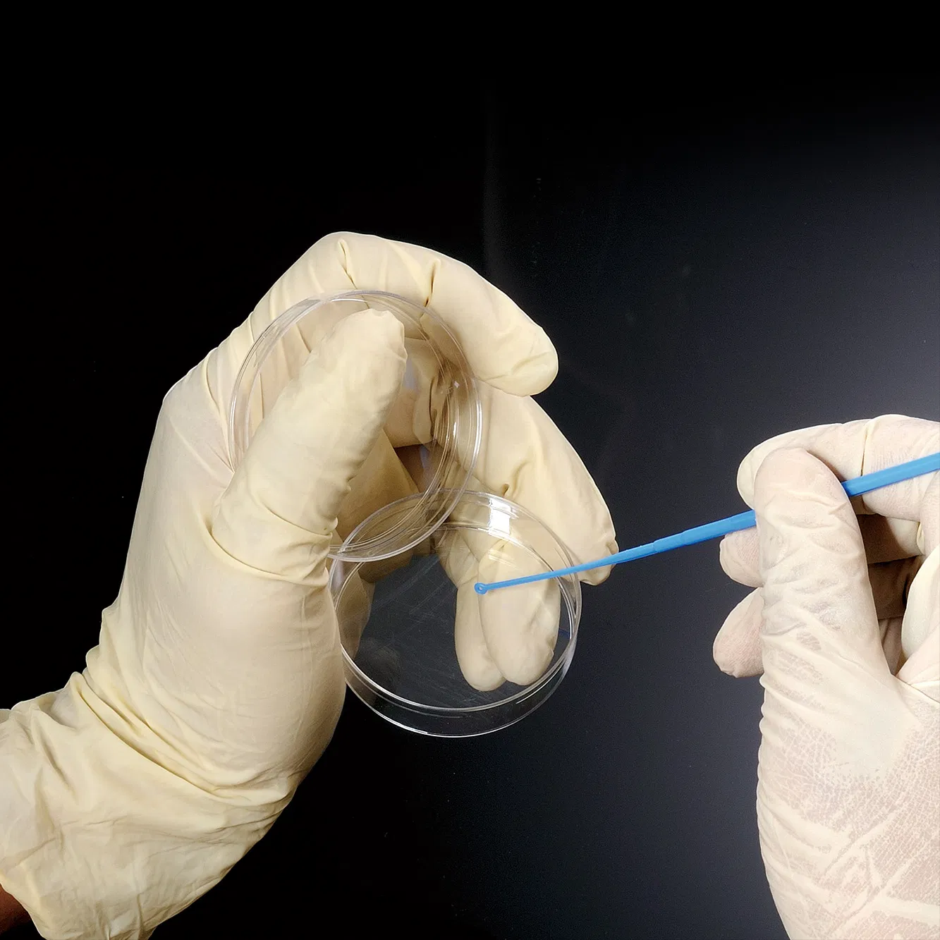 Laboratory Consumables 1UL 10UL Inoculating Loops &amp; Needles