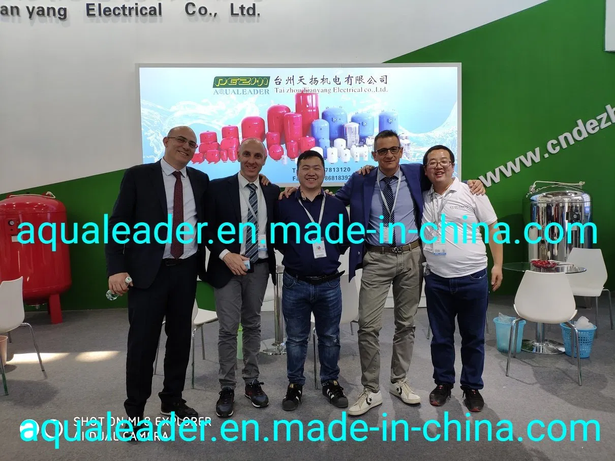 50 L Pre-Charged Expansion Tank with Exchangeable Bladder Membranes