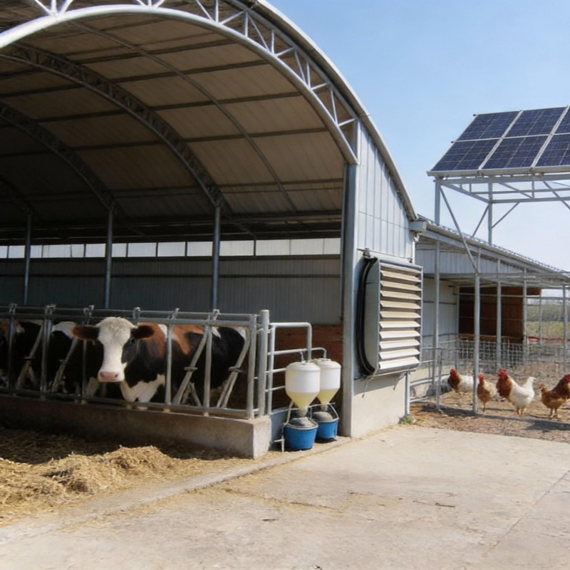 ODM Welded Connection Wallboard Xyss China Modular House Industrial Building Steel Structure