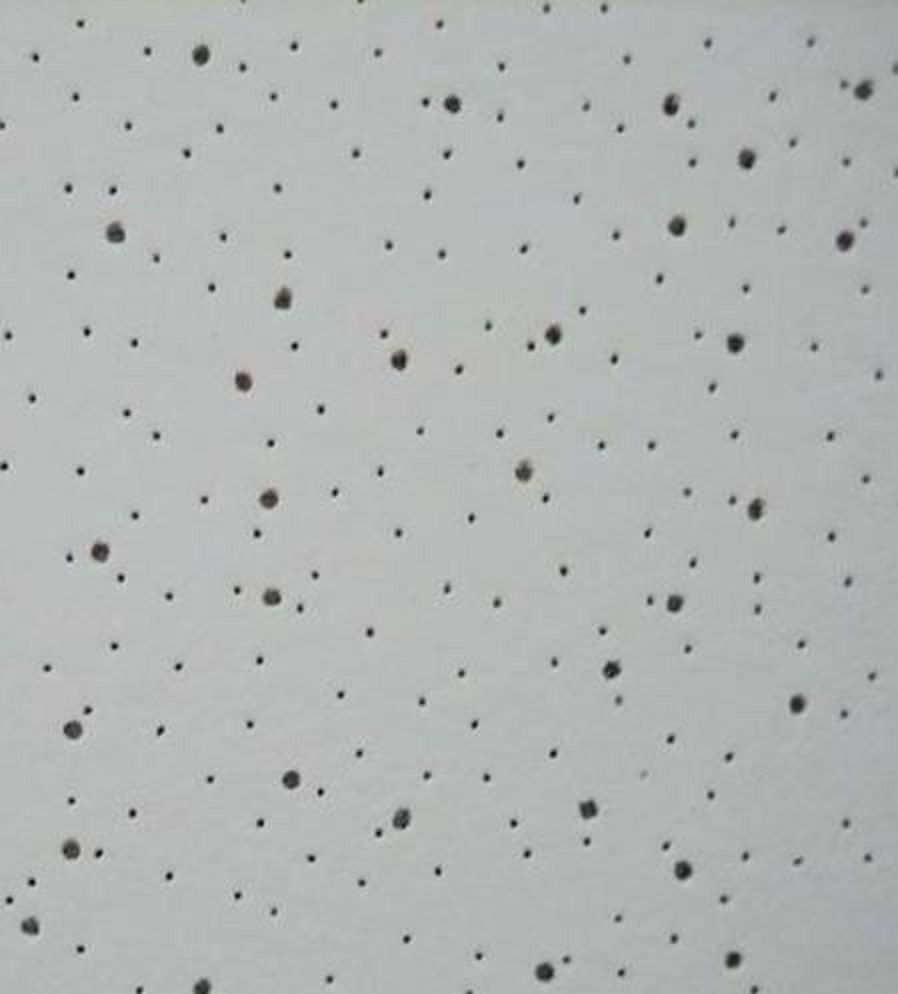 Decorative Mineral Fiber Ceiling Board