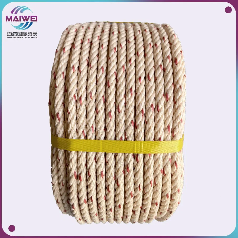 Polyethylene/PE Polypropylene/PP Fishing Marine Mooring Packing Rope Plastic Tali