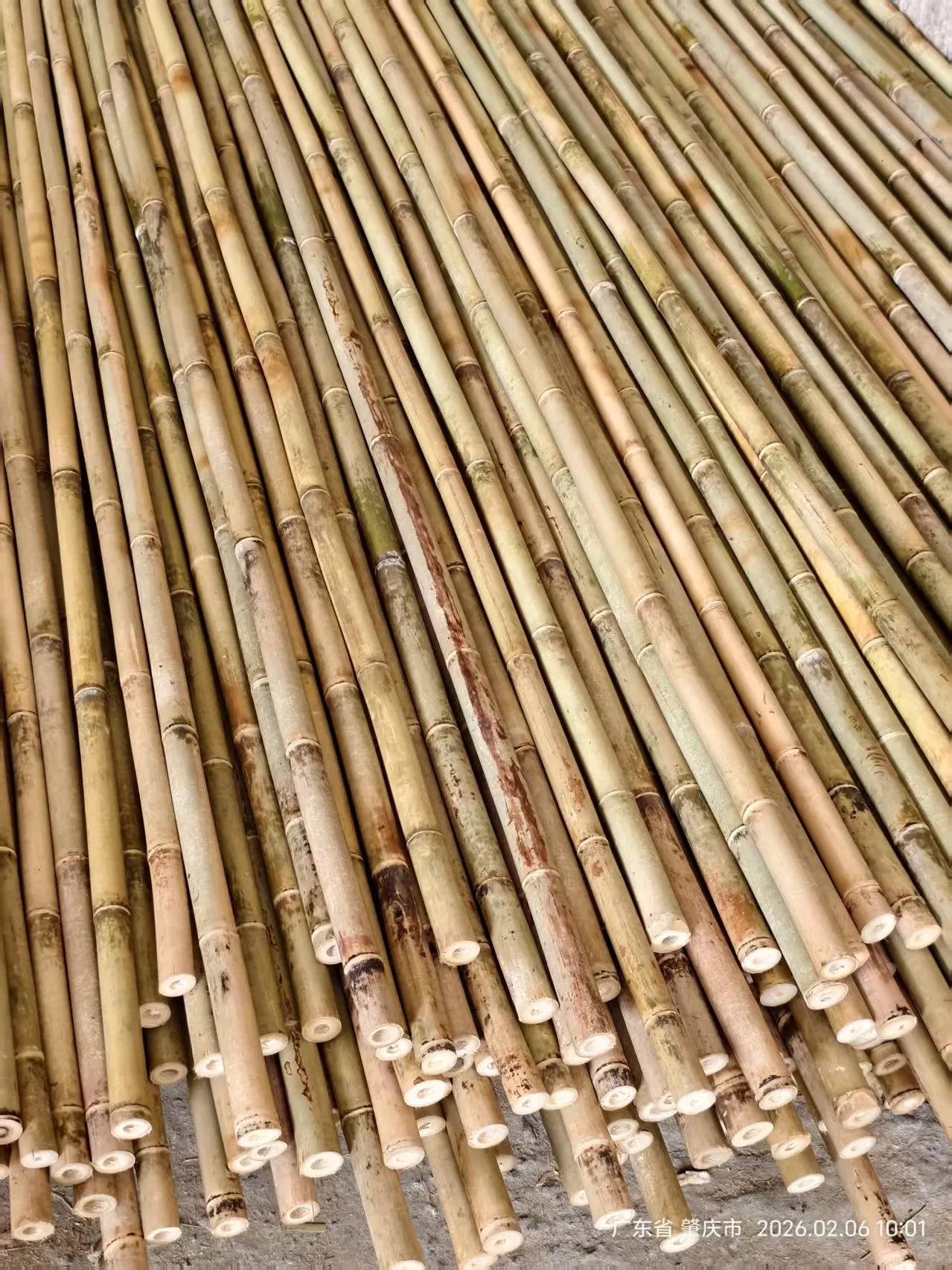 BBQ Bamboo Stick Flower Sticks for Flower Support